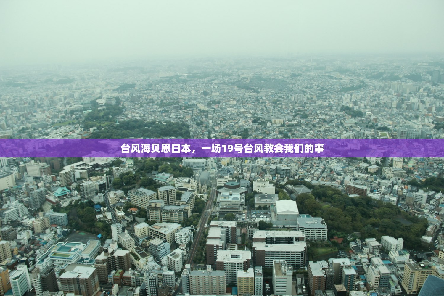 台风海贝思日本,一场19号台风教会我们的事 台风海贝思日本,一场19号台风教会我们的事