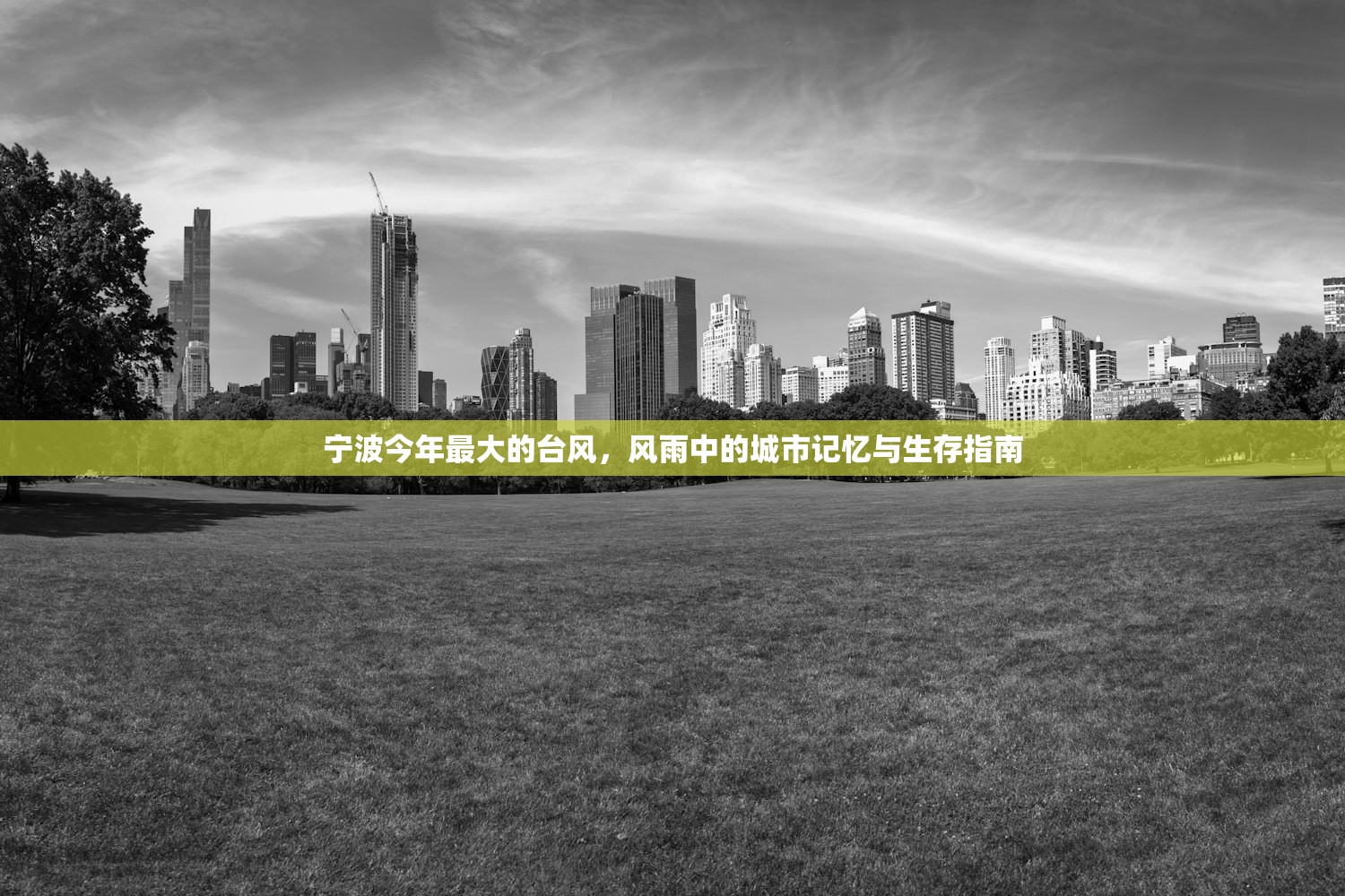 宁波今年最大的台风,风雨中的城市记忆与生存指南 宁波今年最大的台风,风雨中的城市记忆与生存指南
