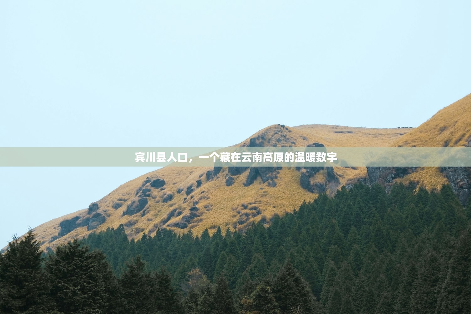 宾川县人口,一个藏在云南高原的温暖数字 宾川县人口,一个藏在云南高原的温暖数字