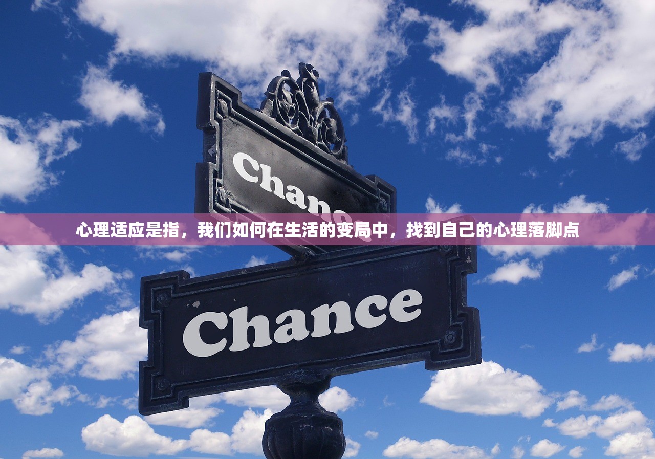 心理适应是指，我们如何在生活的变局中，找到自己的心理落脚点