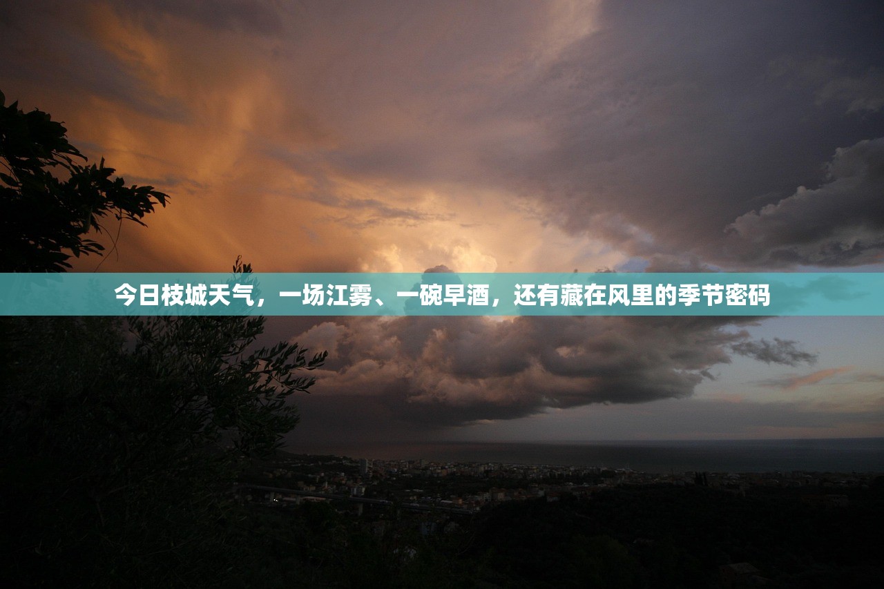 今日枝城天气，一场江雾、一碗早酒，还有藏在风里的季节密码