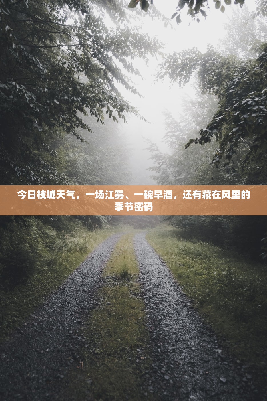 今日枝城天气，一场江雾、一碗早酒，还有藏在风里的季节密码