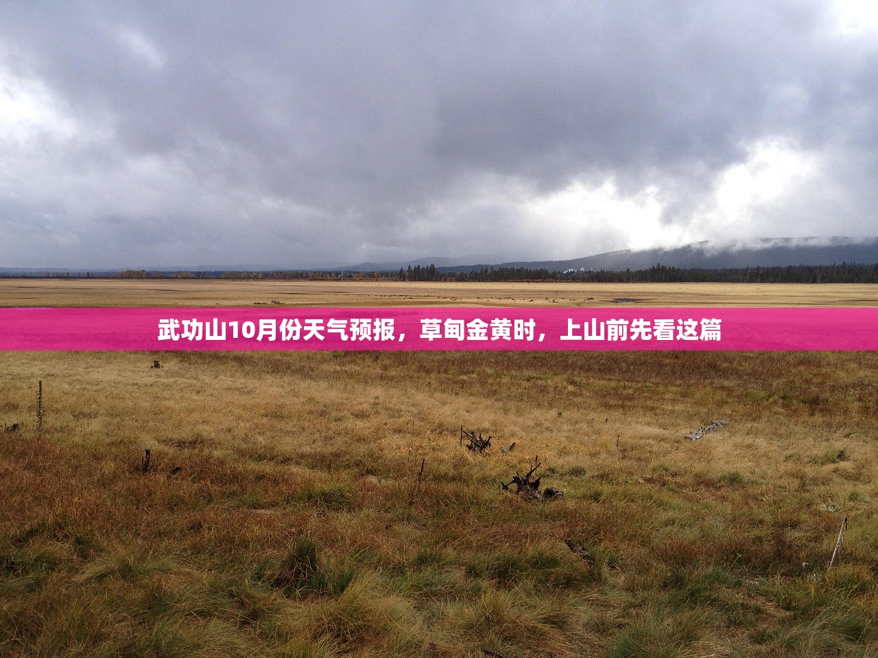 武功山10月份天气预报，草甸金黄时，上山前先看这篇