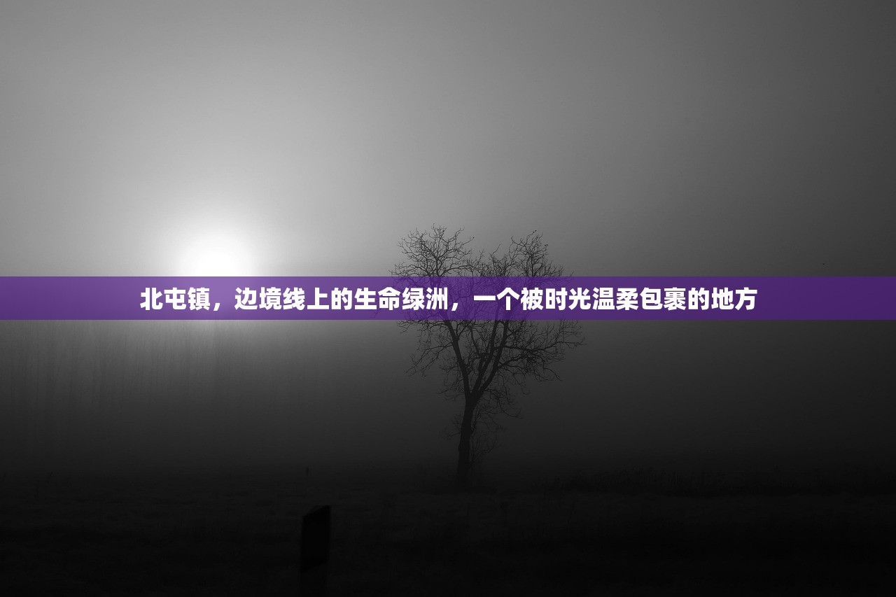 北屯镇，边境线上的生命绿洲，一个被时光温柔包裹的地方